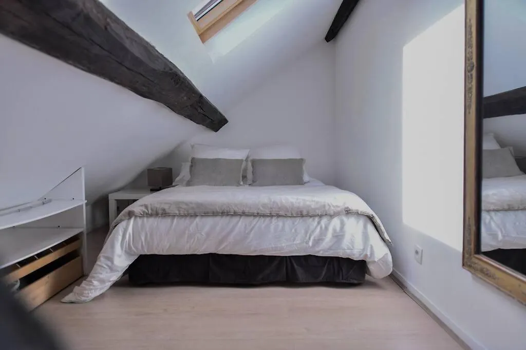 Saint-Germain-Des-Pres In Paris Apartment